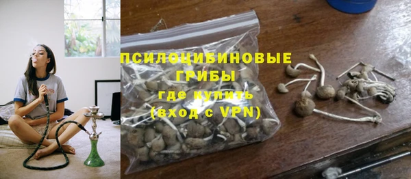 гидра Каменск-Шахтинский