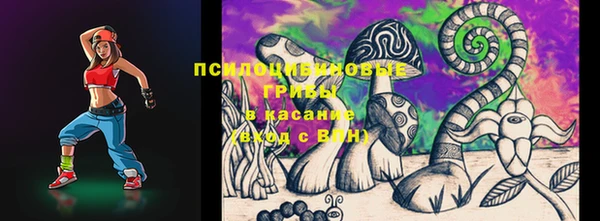 соль ск Инта