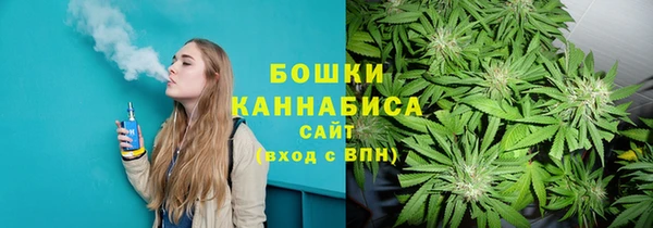 гидра Каменск-Шахтинский