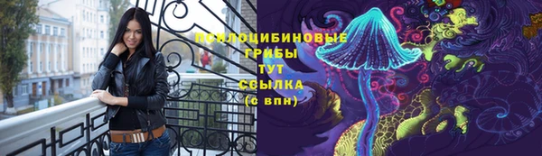 mdpv Каменногорск